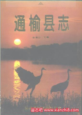 通榆文史资料：通榆县志通榆县文物志等地方志地情地方资料目录PDF电子版-无忧找书网-第4张图片