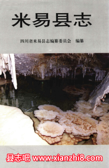 米易文史资料：米易县志卫生志民族志盐业志二轻工业志水利电力志地名录等地情资料PDF电子版