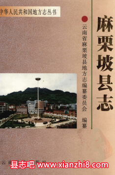 麻栗坡县志：麻栗坡文史资料地名志文化艺术志政协志党校志民政志财政志粮油志邮电志等PDF电子版