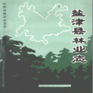 盐津县林业志 PDF电子版