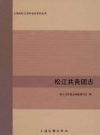 松江共青团志 PDF电子版