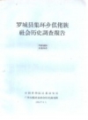 罗城县集环乡仫佬族社会历史调查报告_PDF电子版下载
