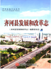 齐河县发展和改革志_2015版_PDF电子版
