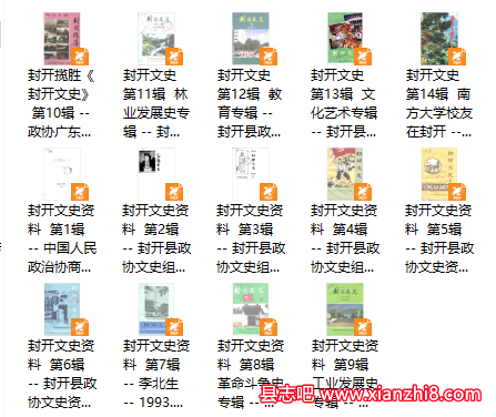 封开文史资料 （14册）1-14辑 PDF电子版下载-县志馆-第4张图片