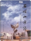 石嘴山市志 上下册 2001版 PDF电子版下载