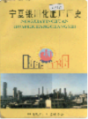 宁夏银川化肥厂厂史                  1996年版                  PDF电子版下载