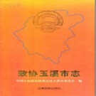 政协玉溪市志.pdf下载