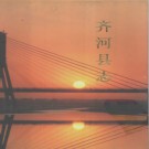 山东省齐河县志.pdf下载